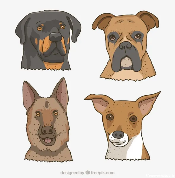  عکس نقاشی سگ وحشی