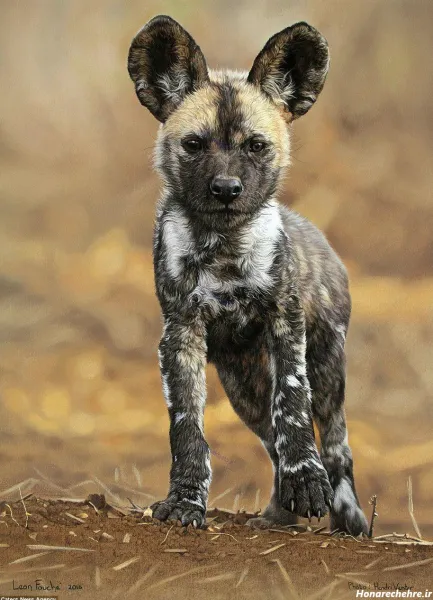  عکس نقاشی سگ وحشی