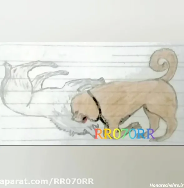  عکس نقاشی سگ وحشی