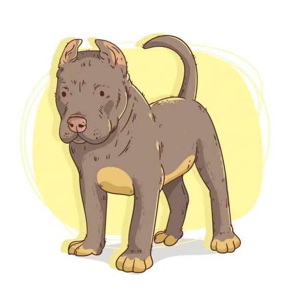  عکس نقاشی سگ وحشی