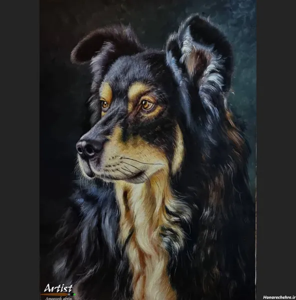  عکس نقاشی سگ وحشی