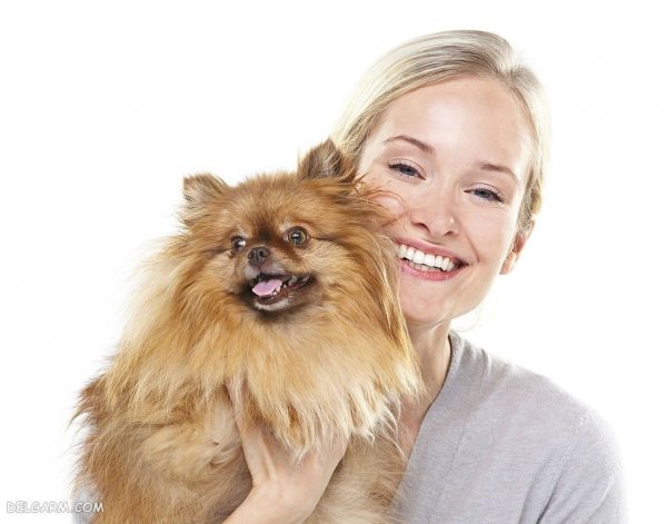  عکس بامزه ترین سگ ها