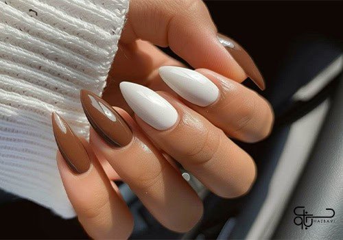 طرح ناخن پاییزی شیک