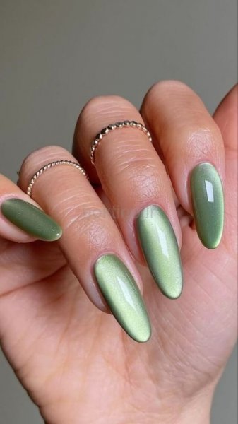  75 مدل ناخن کروم کلیر