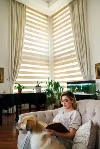  98 عکس پردهای ساده و شیک پذیرایی زبرا