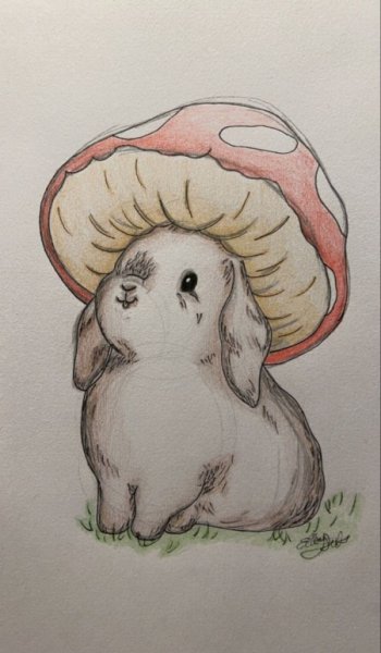  100 عکس مدل نقاشی