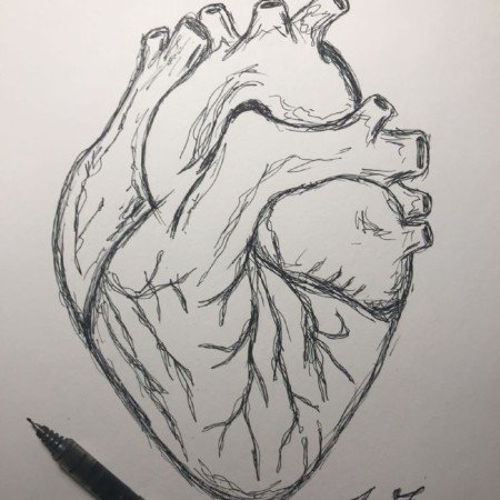  98 عکس نقاشی ساده