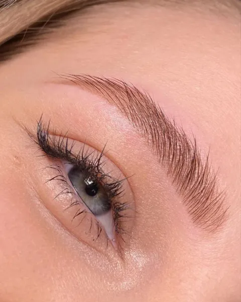  75 عکس مدل ابرو شیک