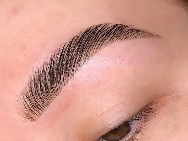  عکس مدل ابرو شیک