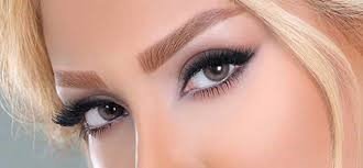  40 عکس مدل ابرو میکرو