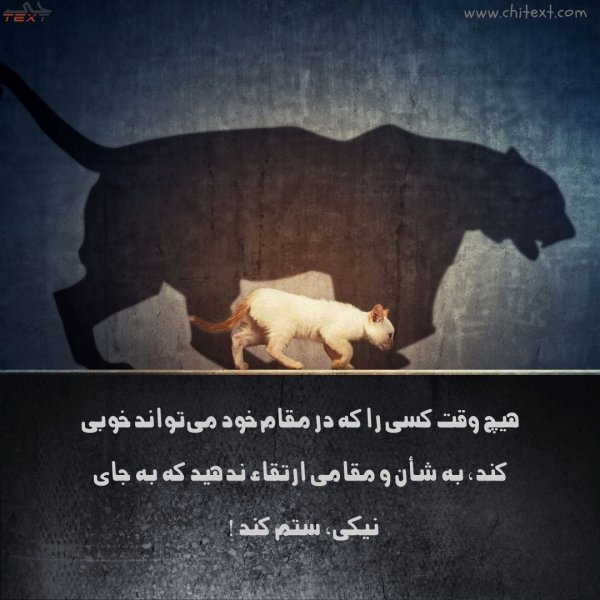  عکس نوشته
