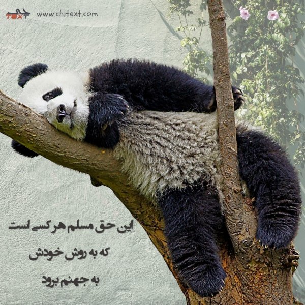  عکس نوشته