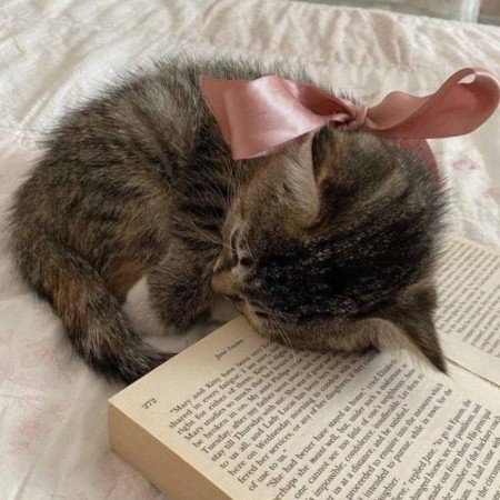  874 عکس پروفایل دخترونه لاکچری اینستا