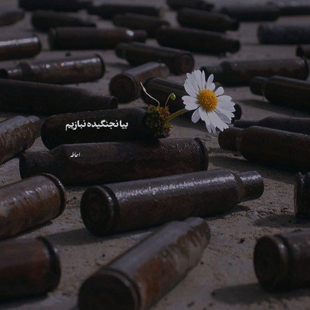  721 عکس موفقیت برای پروفایل