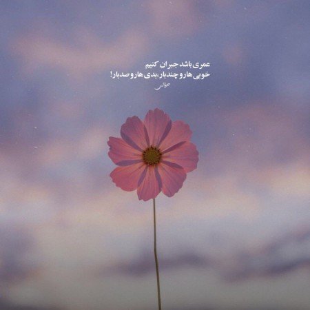  عکس های تیکه دار