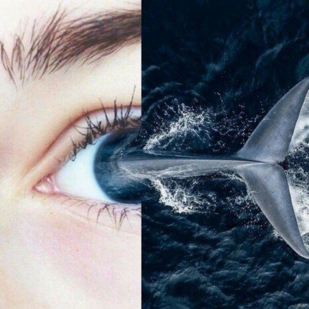  عکس چشم واقعی برای پروفایل