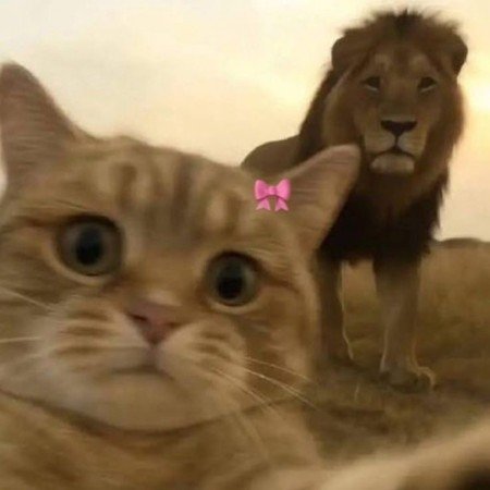  عکس های پروفایل عاشقانه