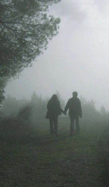  عکس پس زمینه