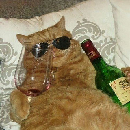  عکس های پروف چنل