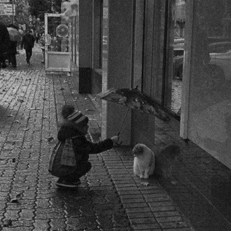  عکس های پروف چنل