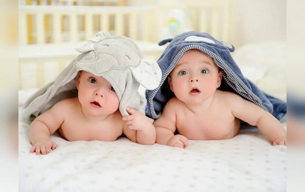  58 عکس نی نی های گوگولی