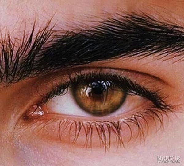  عکس نی نی چشم عسلی دختر