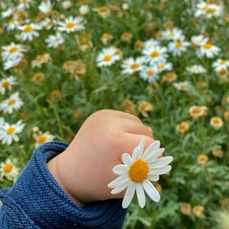  78 عکس نی نی خوشگل برای پروفایل