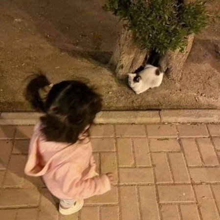  90 عکس دختر بچه برای پروفایل