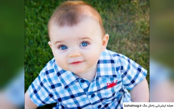  عکس نی نی چشم عسلی