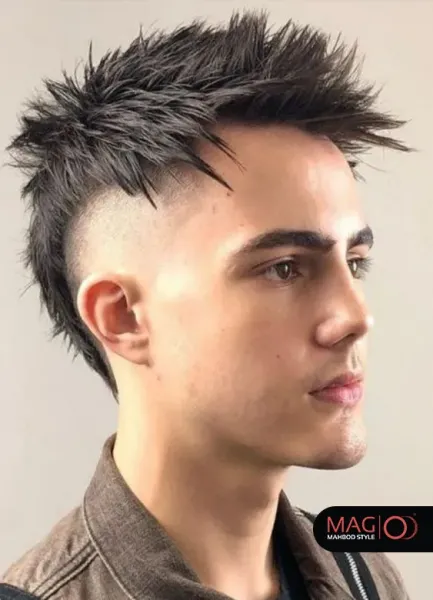  36 عکس مدل اسپایکی