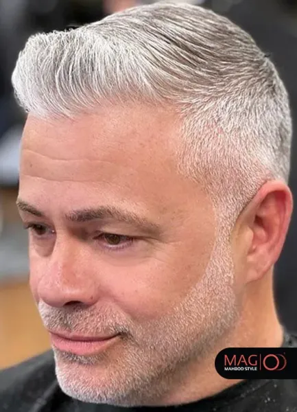  36 عکس مدل اسپایکی