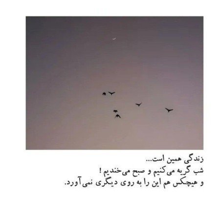  521 عکس های نوشته دار پر معنی جدید