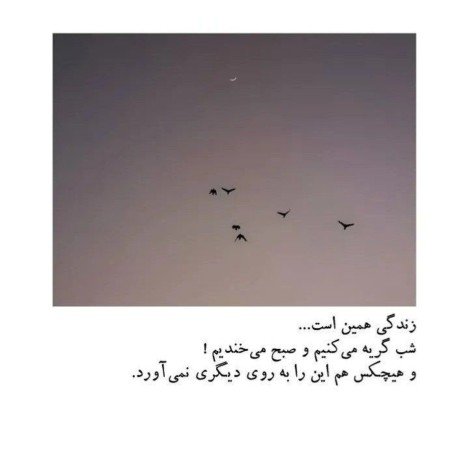  145 عکس نوشته های زیبا و جدید