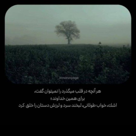  145 عکس نوشته های زیبا و جدید