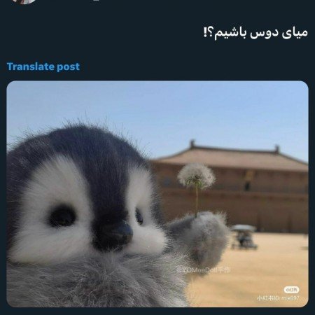  عکس های دوستانه