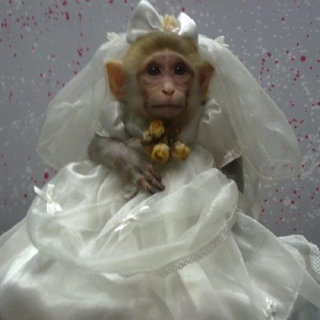  عکس های دوستانه