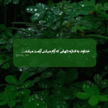  عکس های حس خوب