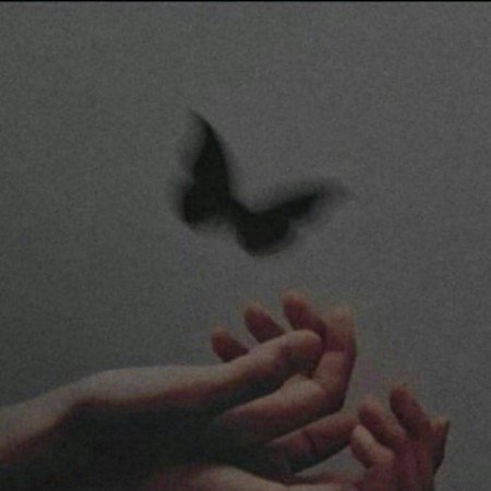  عکس های حس خوب