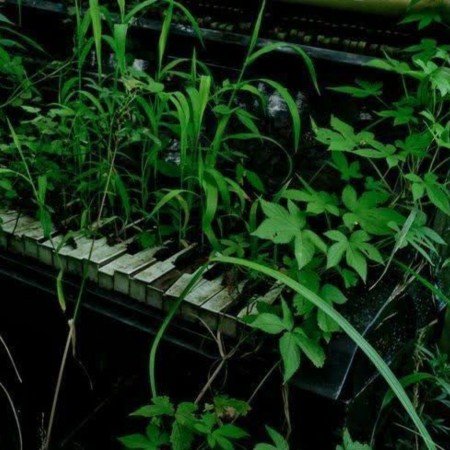  عکس های حس خوب