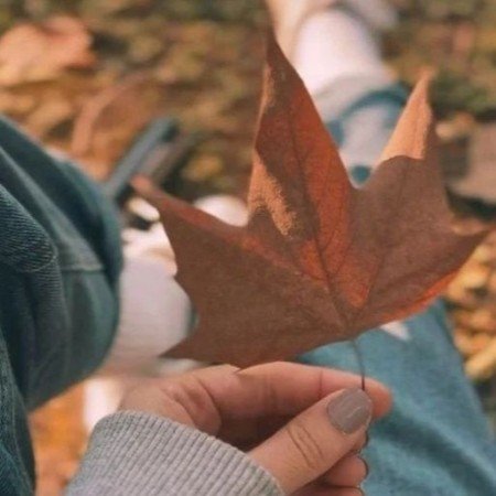  عکس های حس خوب