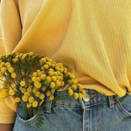  عکس های حس خوب