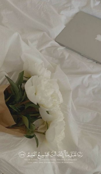  عکس های حس خوب