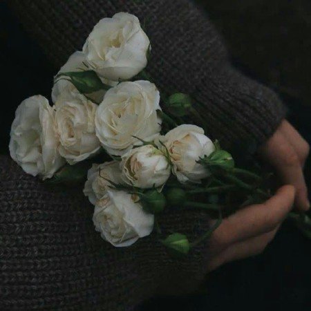  عکس های حس خوب