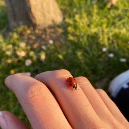  عکس های حس خوب