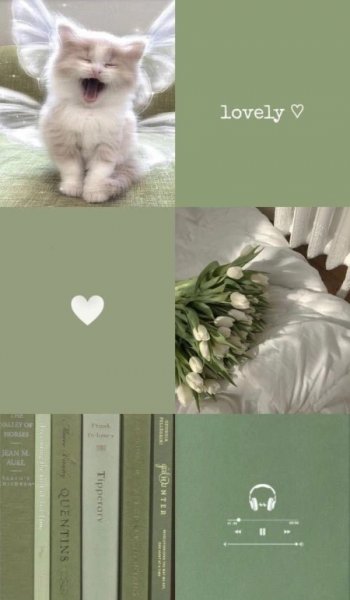  عکس های حس خوب