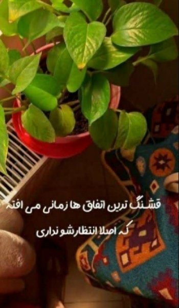  عکس های حس خوب