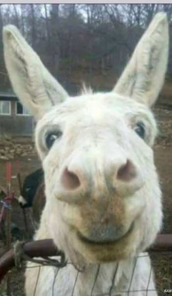  عکس های تکنولوژی