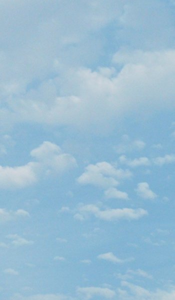  عکس های والپیپر