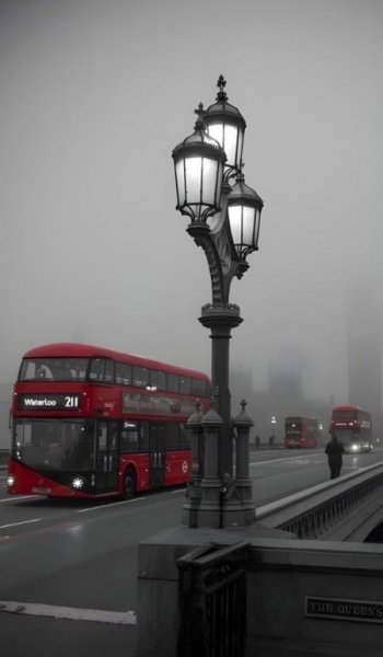  عکس های والپیپر