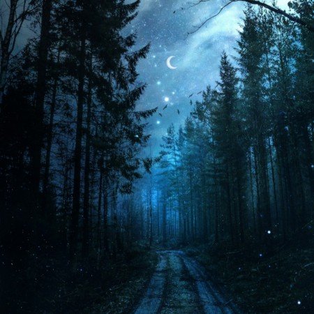  عکس های جاده